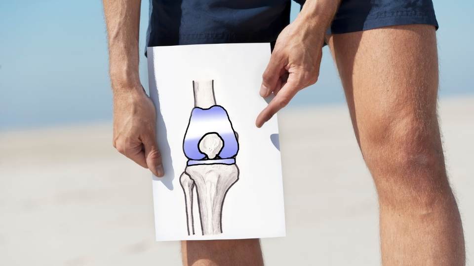 knee replacement rehabilitation