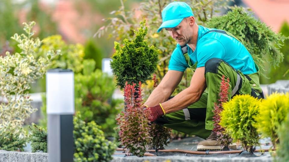 man gardening benefits of exercise dublin ireland